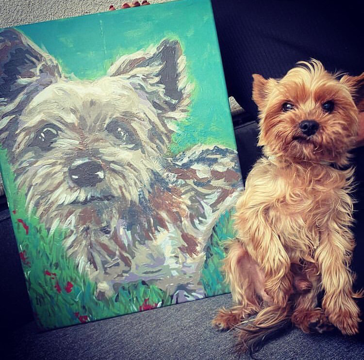 Yorkshire terrier a róla készült kép mellett