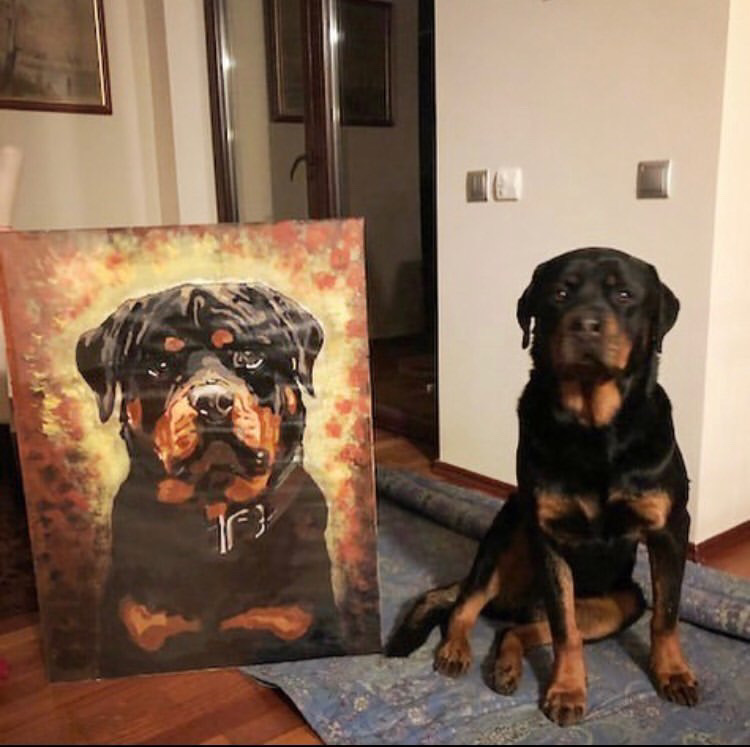 Rottweiler a róla készült kézzel festett portré mellett
